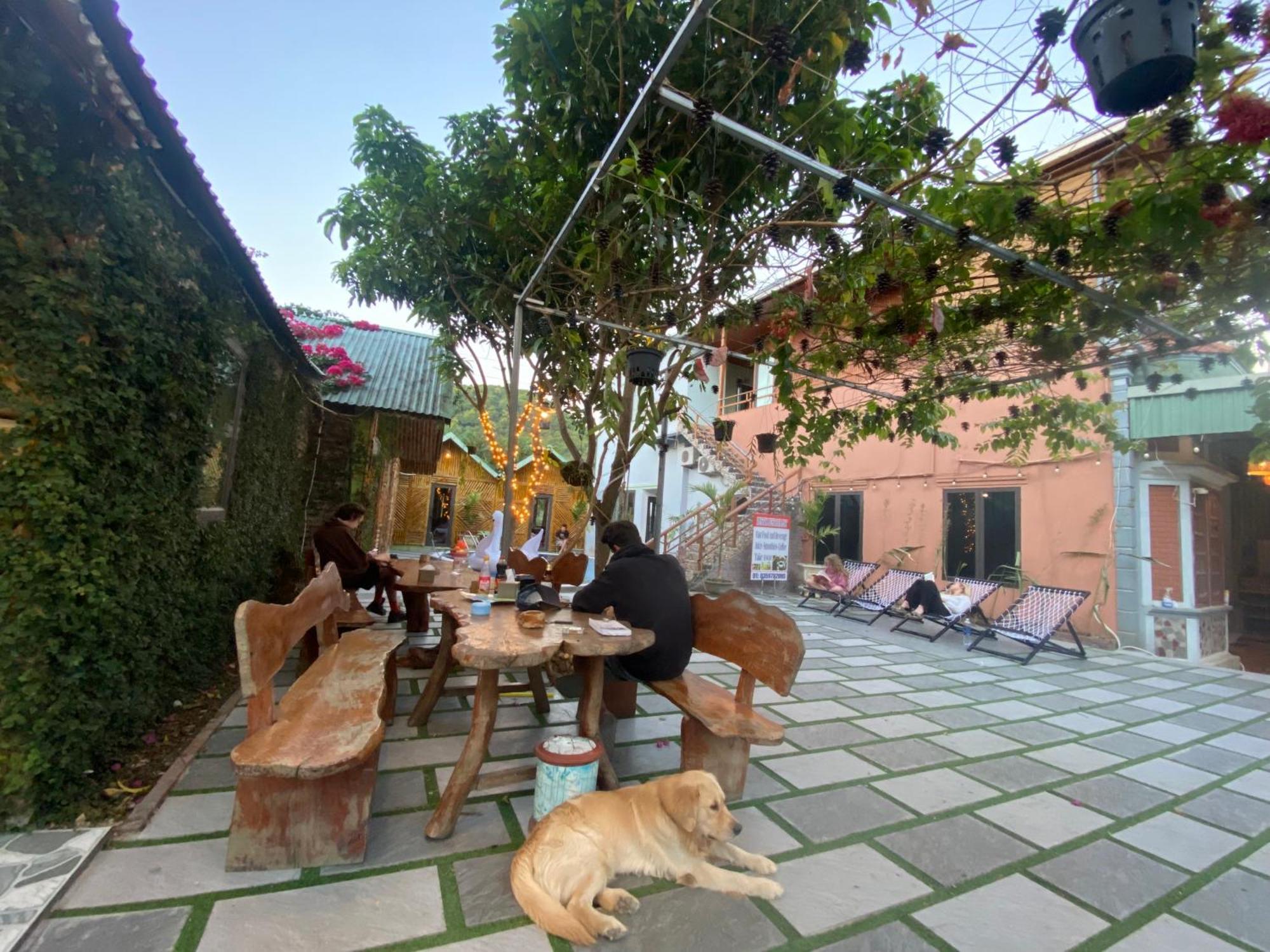 Cat Ba Rustic Homestay Hien Hao Dış mekan fotoğraf