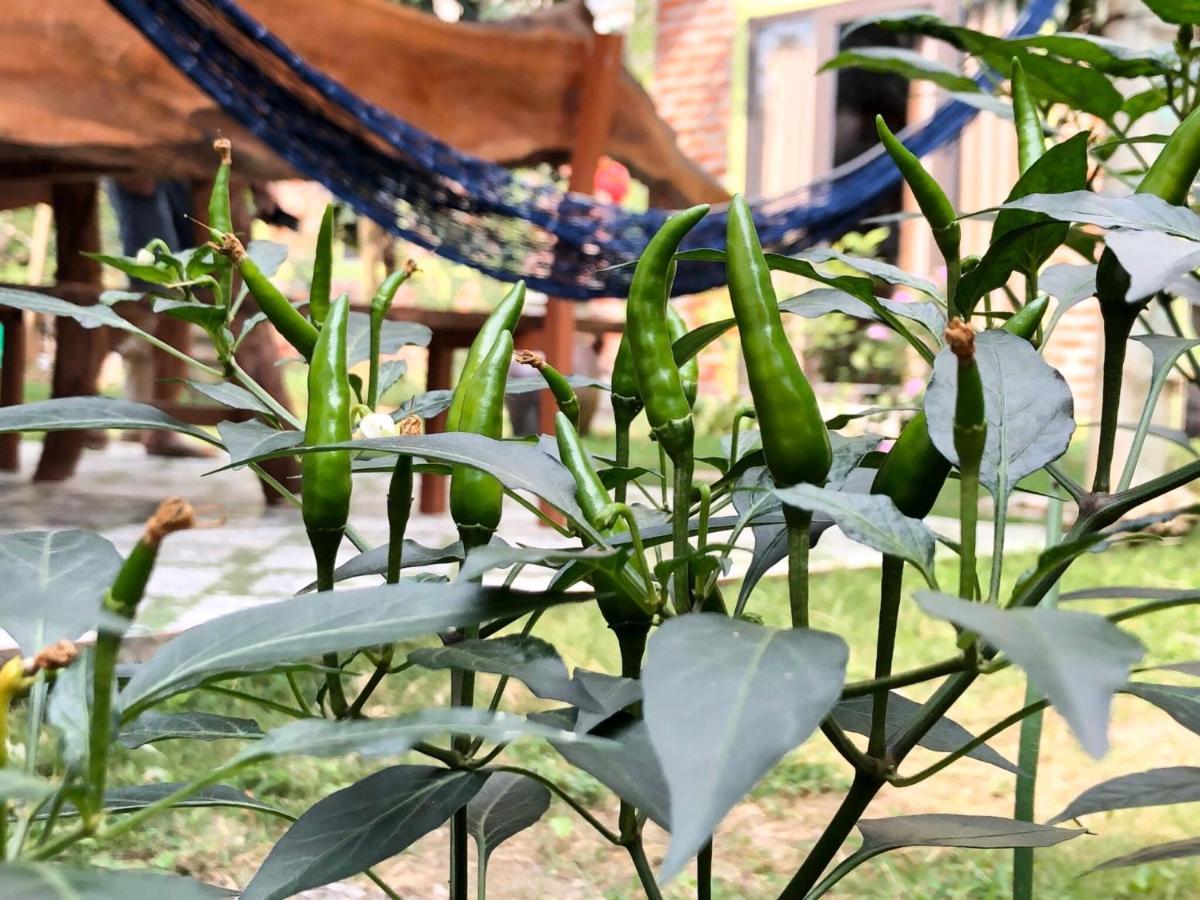 Cat Ba Rustic Homestay Hien Hao Dış mekan fotoğraf